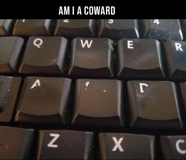 Acid Picdump 2 (73 pics)