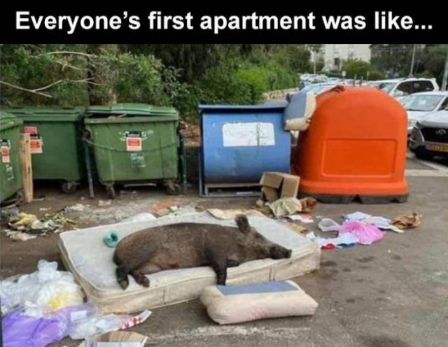 Acid Picdump 2 (73 pics)