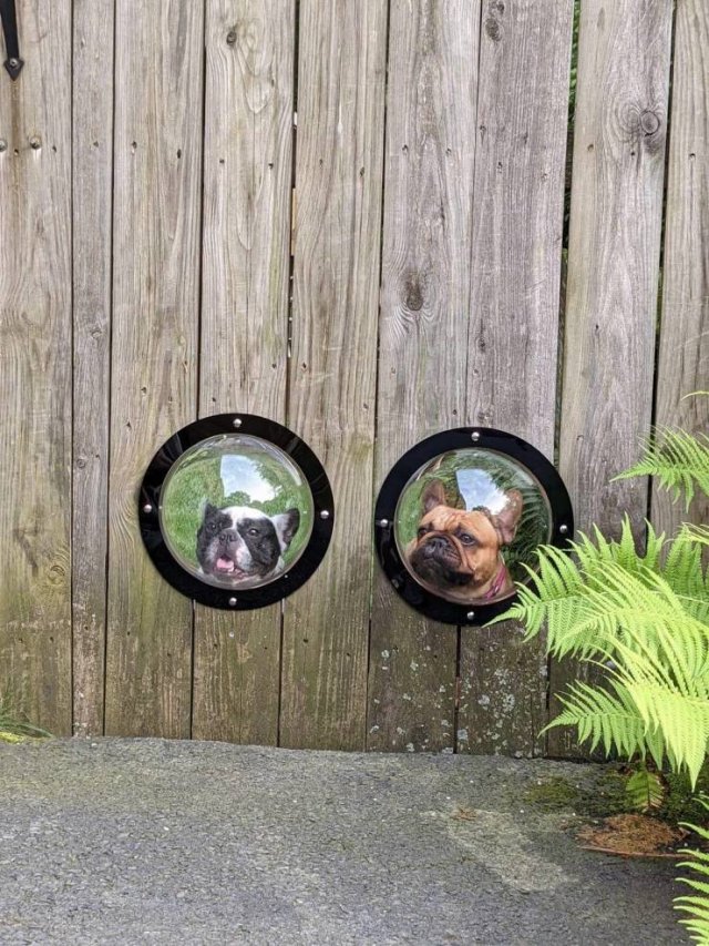 Acid Picdump 2 (71 pics)