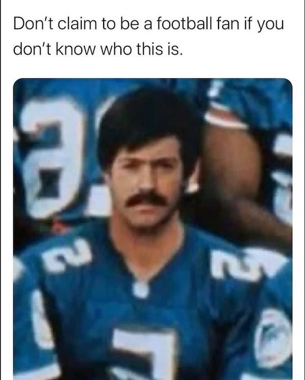 NFL Memes (35 pics)