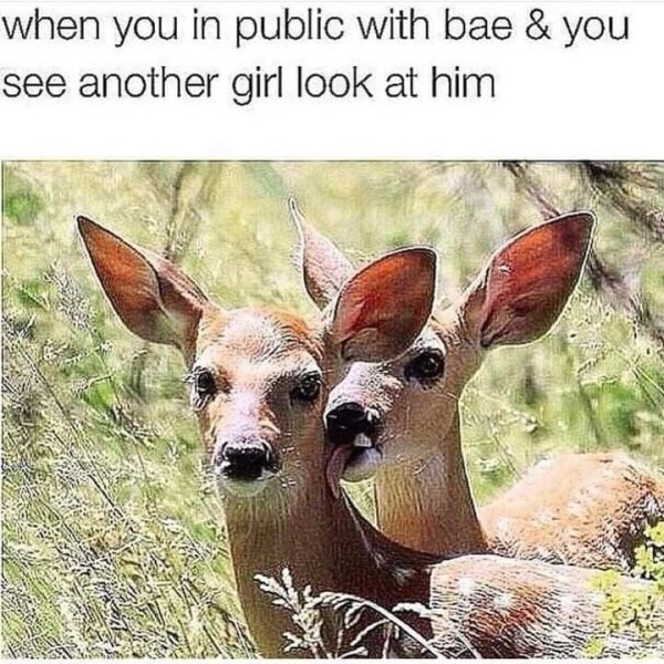 Flirtatious Memes (27 pics)