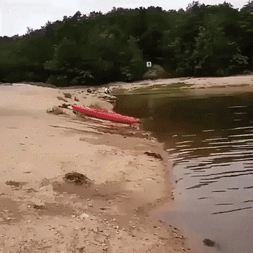 Acid Gifdump, August 4 (25 gifs)