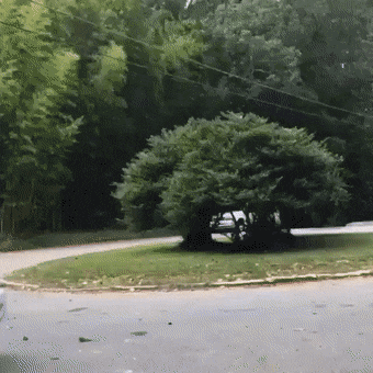 Acid Gifdump, August 4 (25 gifs)