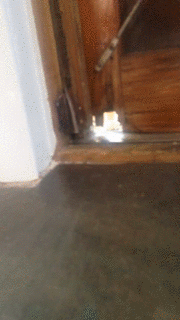 Acid Gifdump, August 4 (25 gifs)