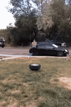 Acid Gifdump, August 4 (25 gifs)