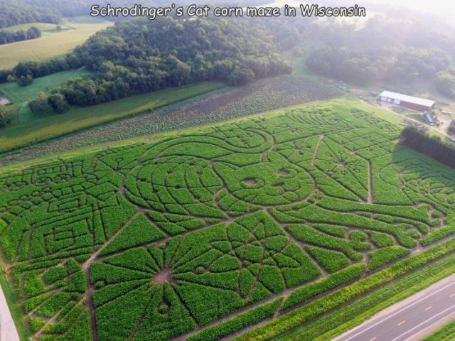 Acid Picdump 1 (75 pics)
