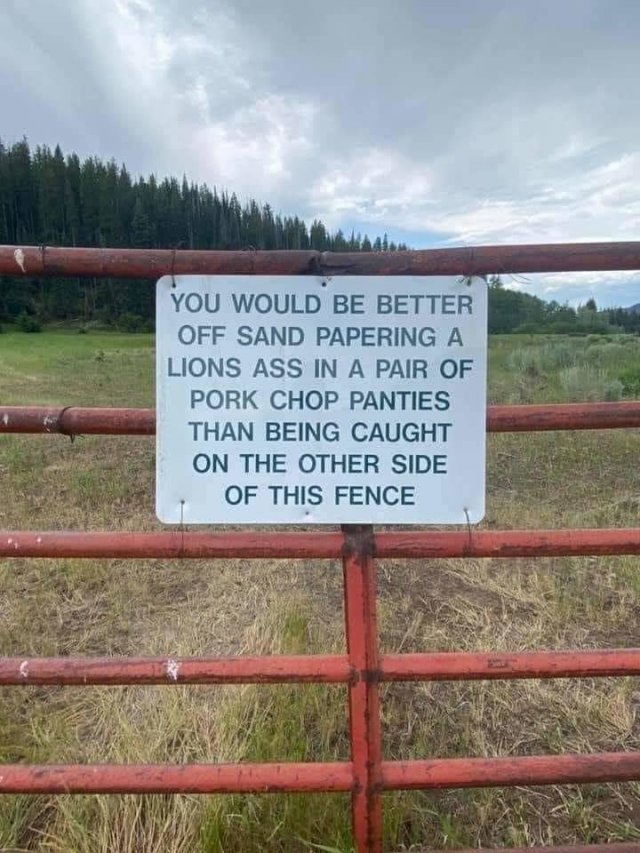 Acid Picdump 2 (73 pics)