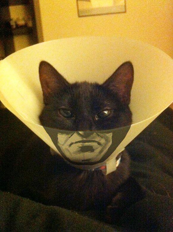 Acid Picdump 1 (75 pics)
