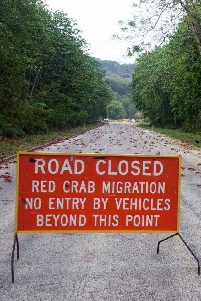 Acid Picdump 1 (75 pics)