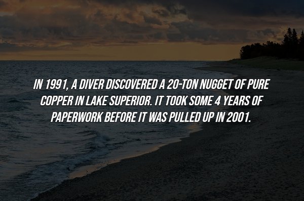 Intriguing Facts (17 pics)