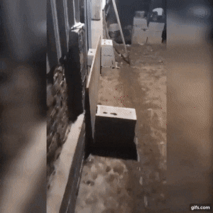 Acid Gifdump, August 5 (25 gifs)