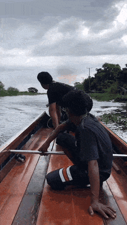Acid Gifdump, August 5 (25 gifs)