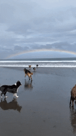 Acid Gifdump, August 5 (25 gifs)