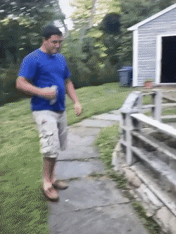 Acid Gifdump, August 5 (25 gifs)
