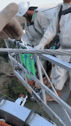 Acid Gifdump, August 5 (25 gifs)