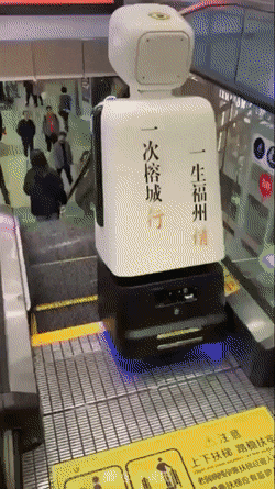 Acid Gifdump, August 5 (25 gifs)
