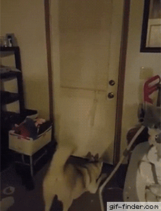 Acid Gifdump, August 5 (25 gifs)