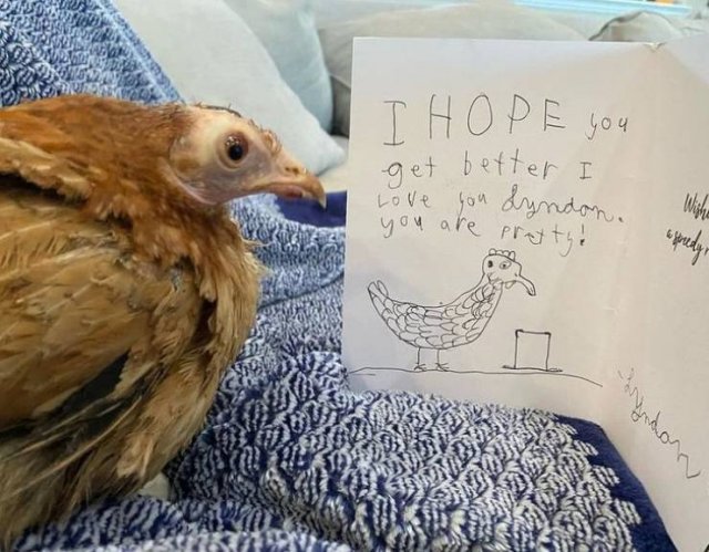 Wholesome Stories (44 pics) Wholesome Stories (44 pics)