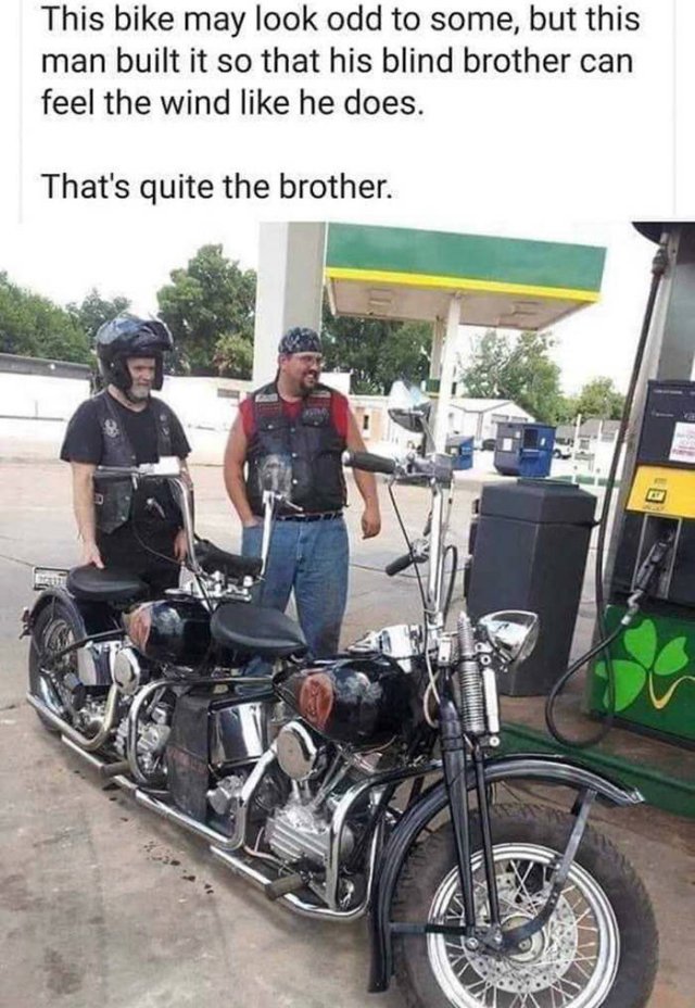 Wholesome Stories (44 pics)