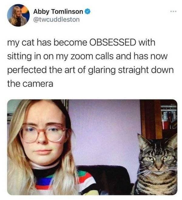 Wholesome Stories (44 pics)