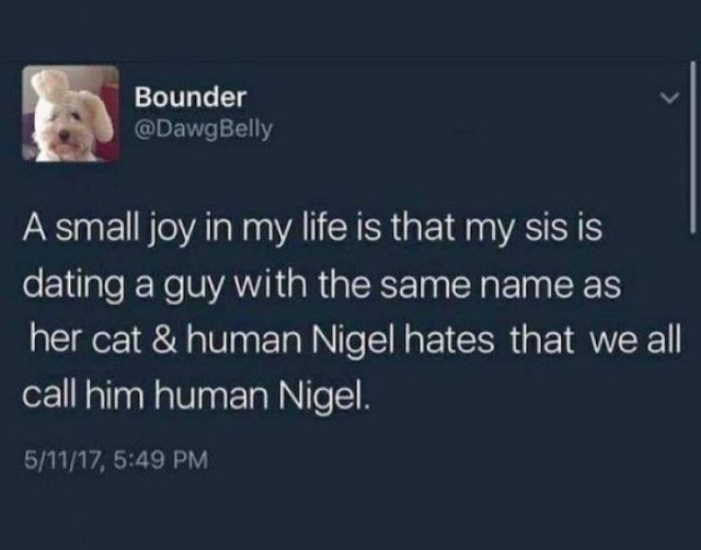 Wholesome Stories (44 pics)