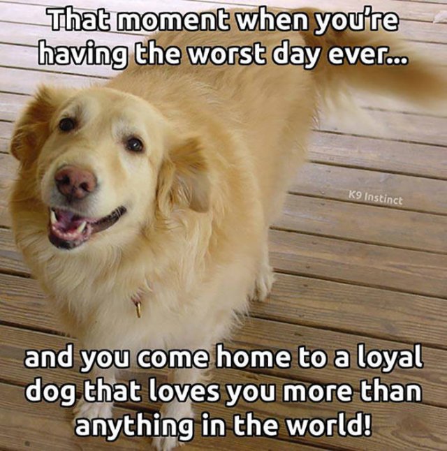 Wholesome Stories (44 pics) Wholesome Stories (44 pics)