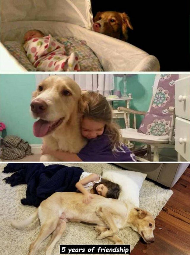 Wholesome Stories (44 pics)