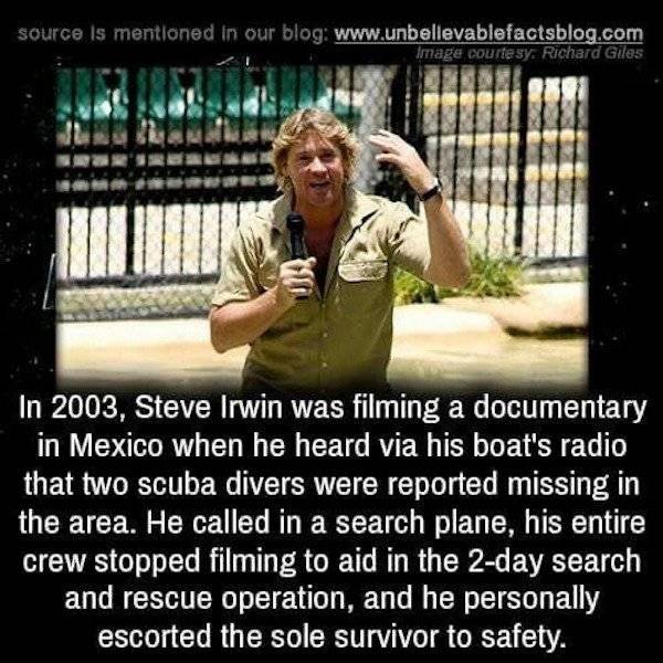 Wholesome Stories (44 pics)