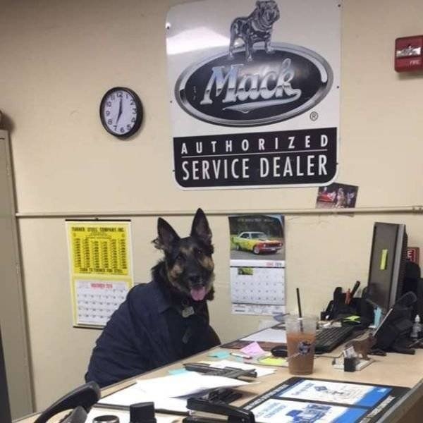 Work Memes And Pictures (39 pics)