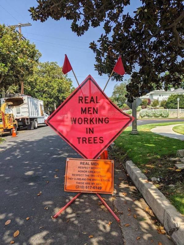 Work Memes And Pictures (39 pics)