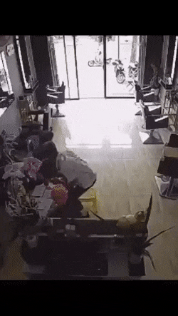 Acid Gifdump, August 6 (25 gifs)