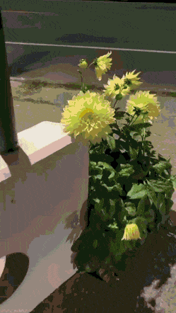 Acid Gifdump, August 6 (25 gifs)