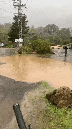Acid Gifdump, August 6 (25 gifs)