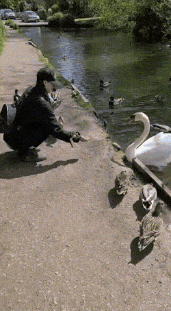 Acid Gifdump, August 6 (25 gifs)