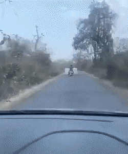 Acid Gifdump, August 6 (25 gifs)