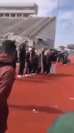 Acid Gifdump, August 6 (25 gifs)