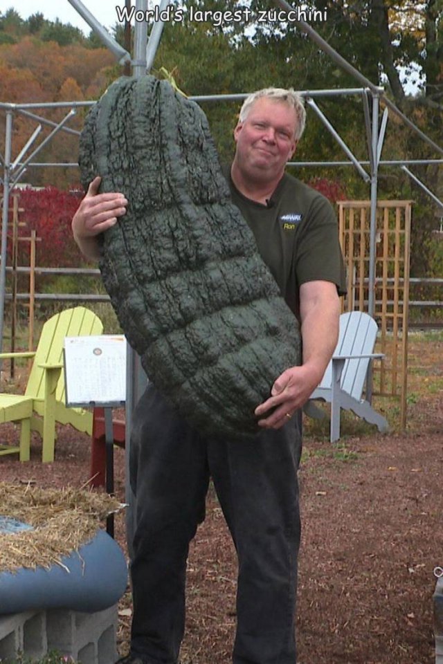 Acid Picdump 1 (72 pics)