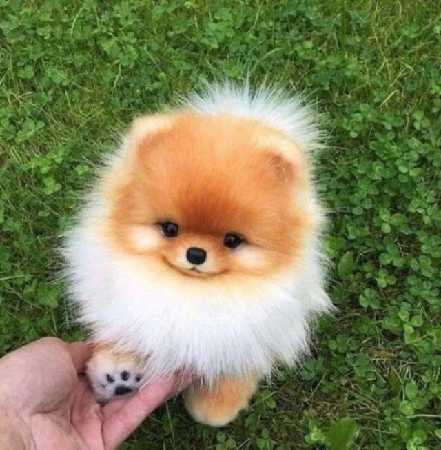 Acid Picdump 1 (72 pics)