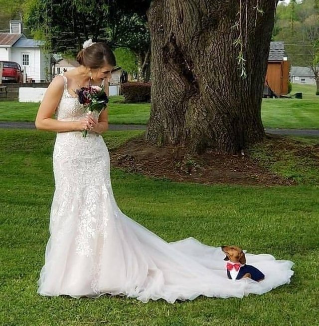 Acid Picdump 1 (72 pics)