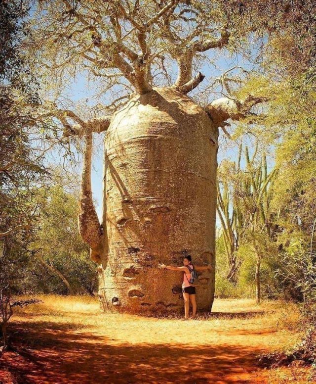 Acid Picdump 1 (72 pics)