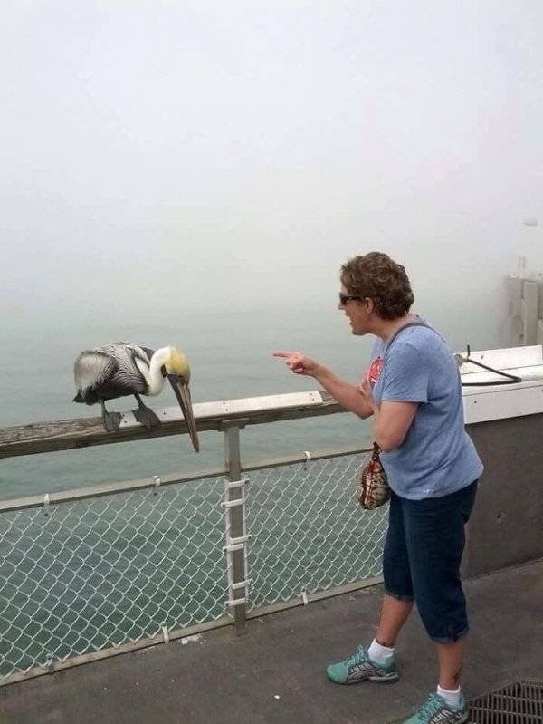 Amazing Grandmas And Grandpas (31 pics)