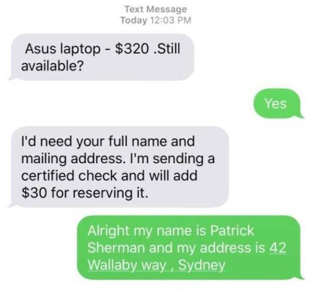 Scammers Texts (27 pics)
