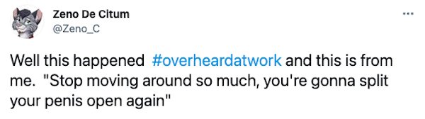 Overheard At Work Tweets (30 pics)