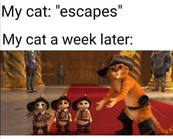 Random Funny Memes (23 pics)