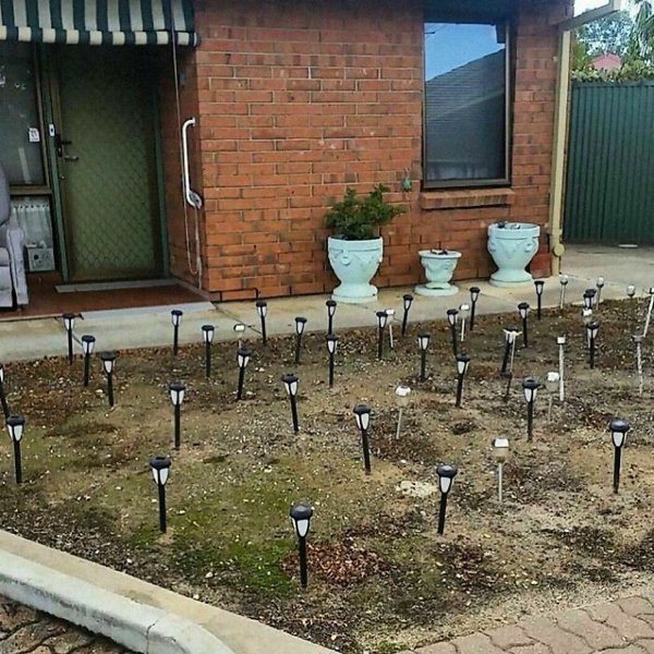 Weird Gardens (30 pics)