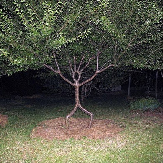 Weird Gardens (30 pics)