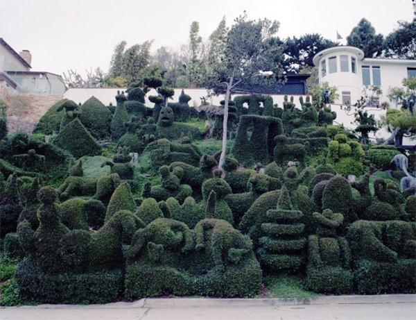 Weird Gardens (30 pics)