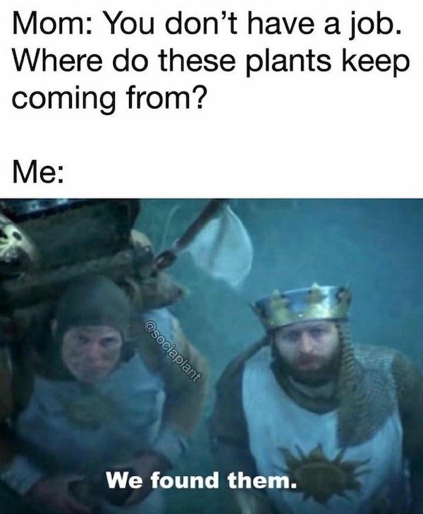 Plant Memes (32 pics)