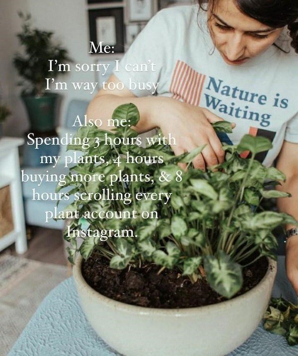 Plant Memes (32 pics)