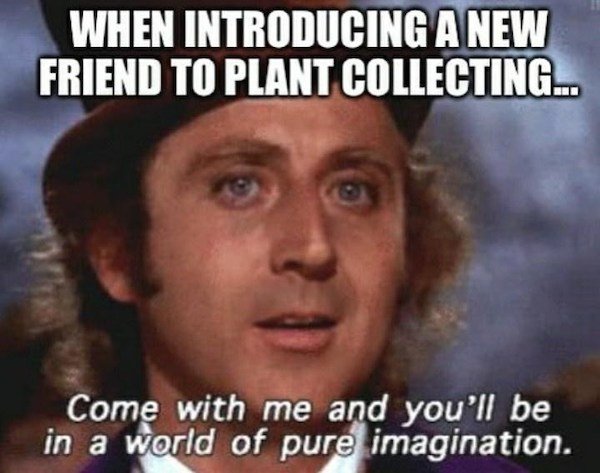 Plant Memes (32 pics)